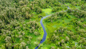 Begin your DT4 visa-prepared day with Vietnam’s tranquil ambiance